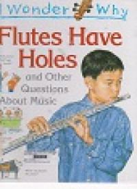 i wonder why ? flute have holes and other question abaout music