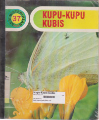 kupu-kupu kubis