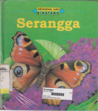 Serangga