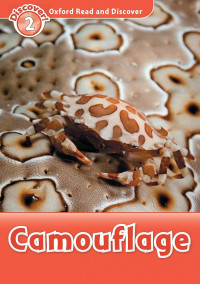 Image of Camouflage